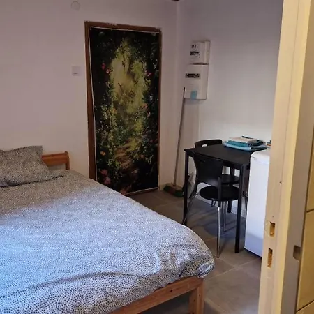 Proche Centre Historique Altkirch